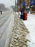 Snowy Bike Lane - College and Spadina looking east