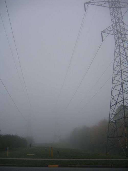 Foggy Finch Hydro Corridor