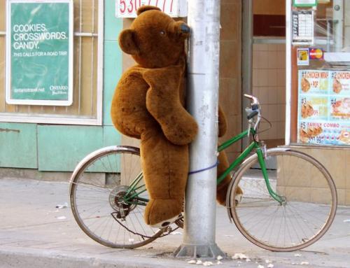 Bike Bear