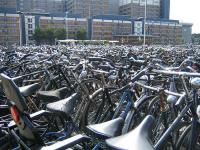 Bike Parking at Leiden University 